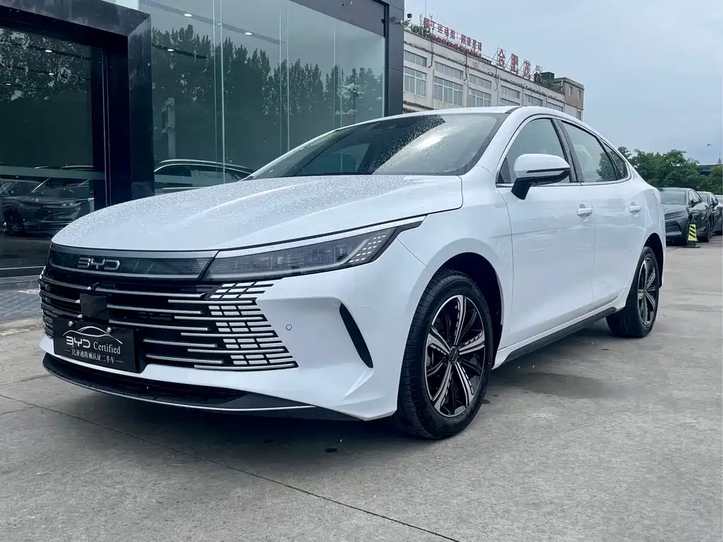 BYD DESTROYER 05 2024