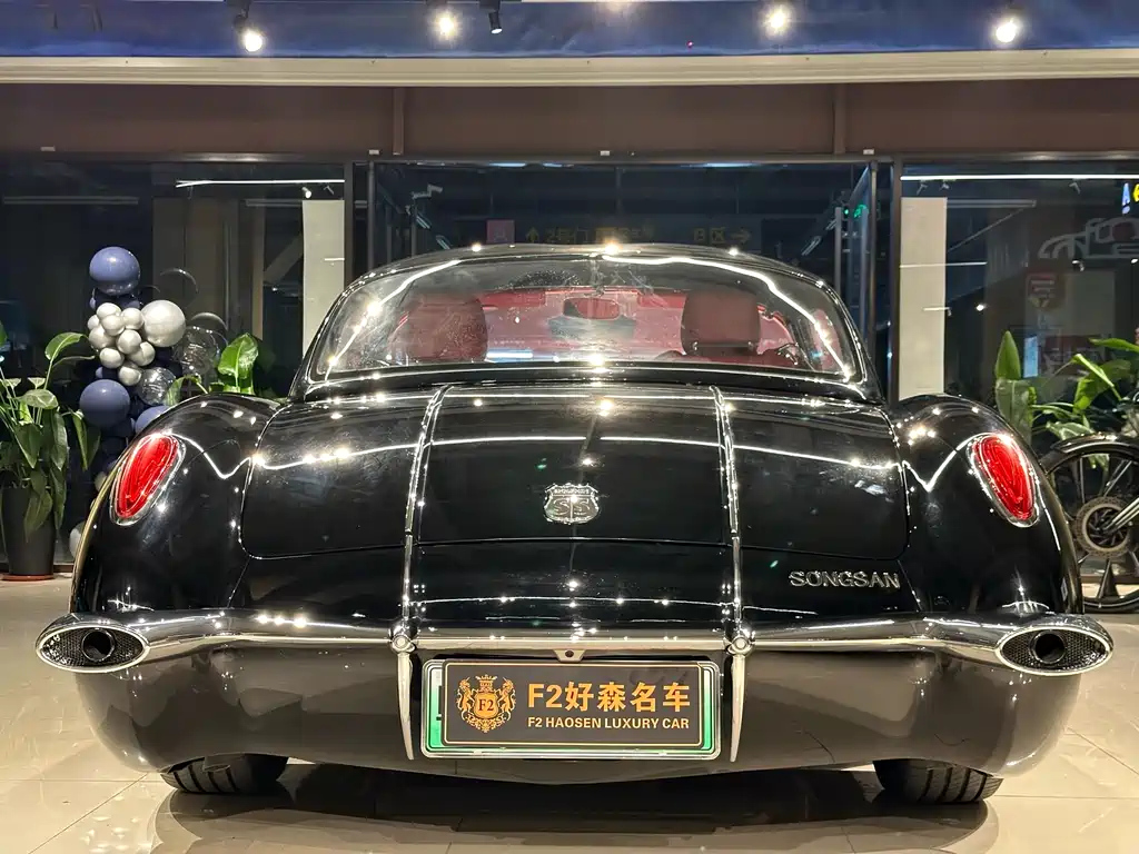 OTHER SS DOLPHIN 2021
