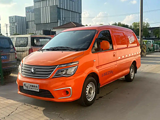 dongfeng lingzhi
