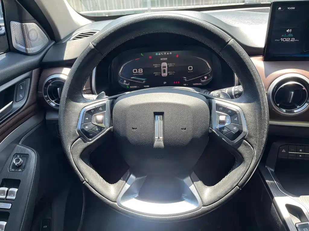 WEY VV6 2020