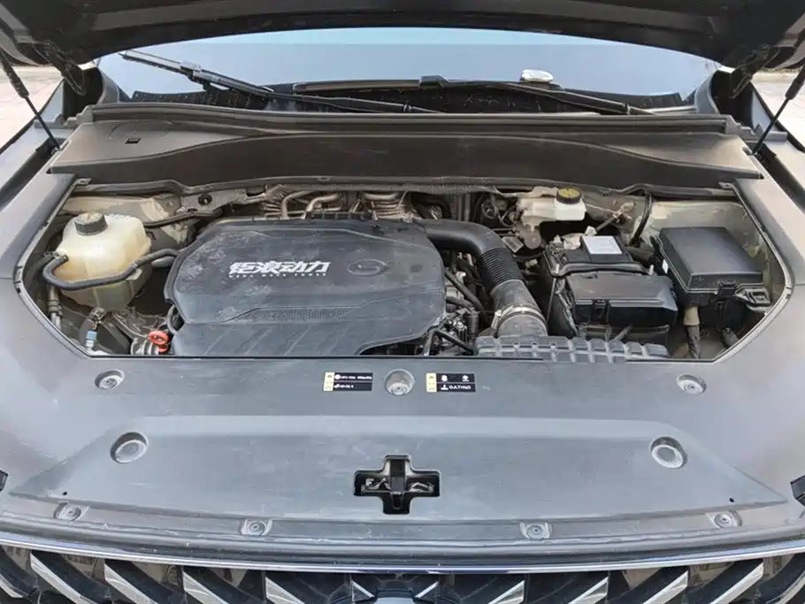 TRUMPCHI GS8 2024