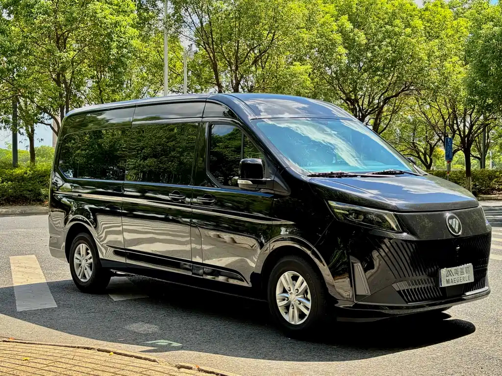 FOTON OTHER 2024