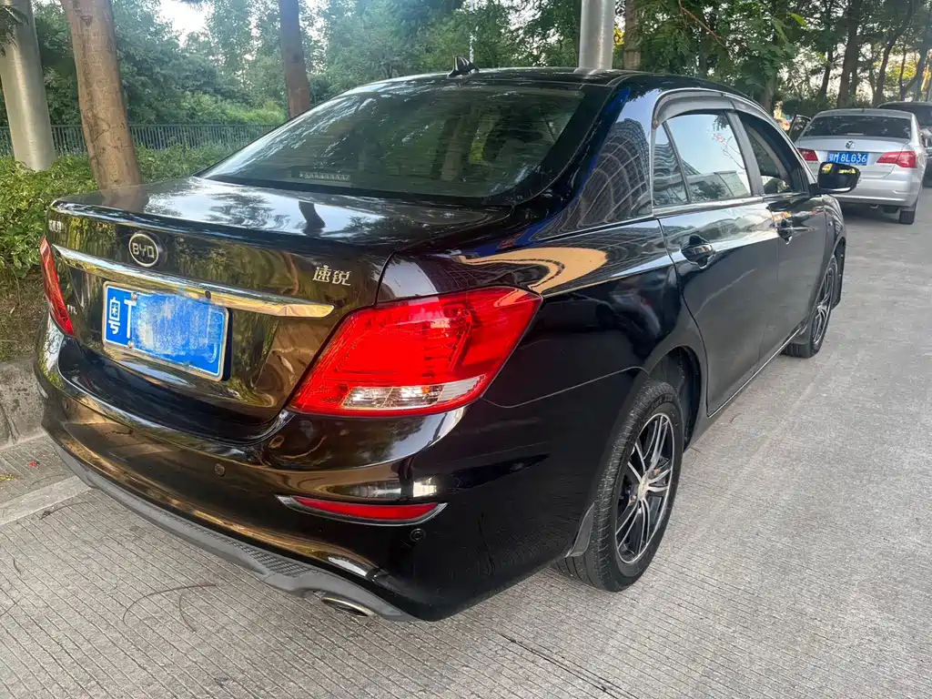 BYD OTHER 2016