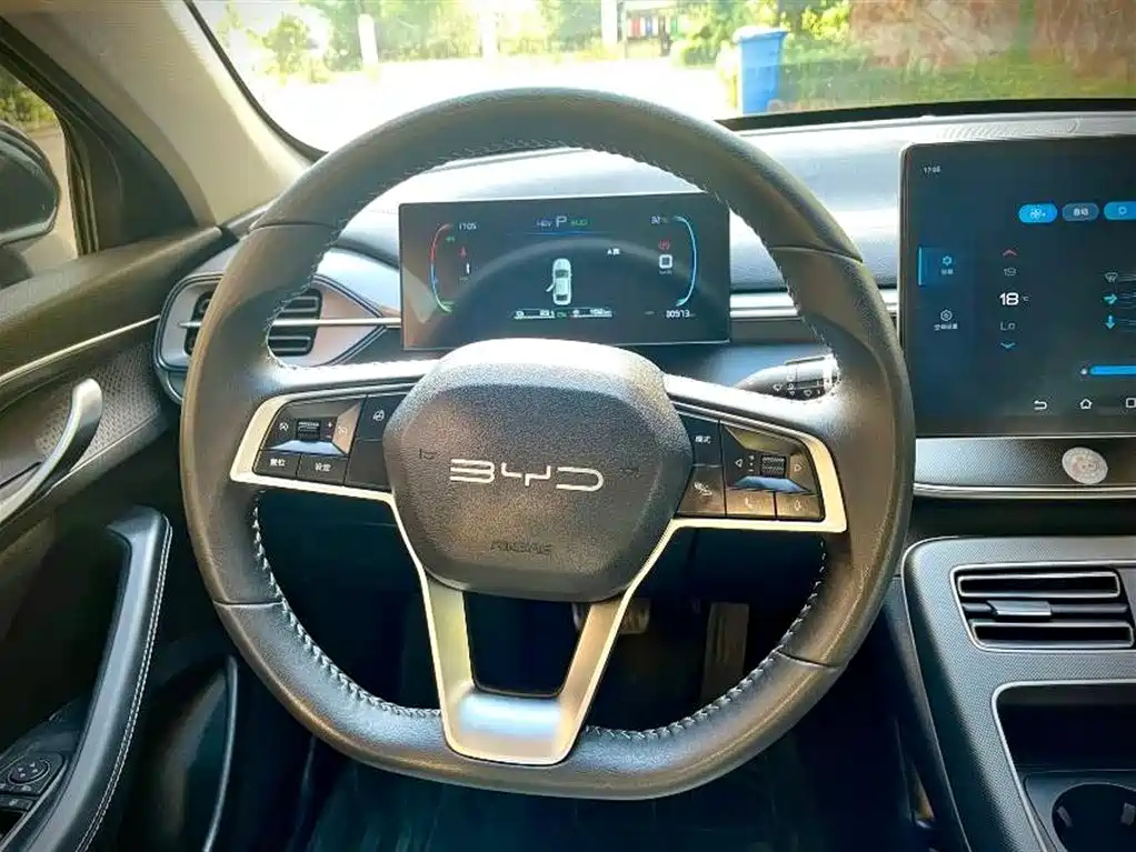 BYD DESTROYER 05 2024