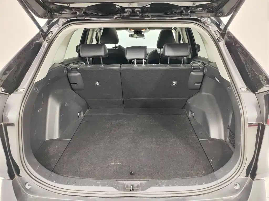 TOYOTA WILDLANDER 2021