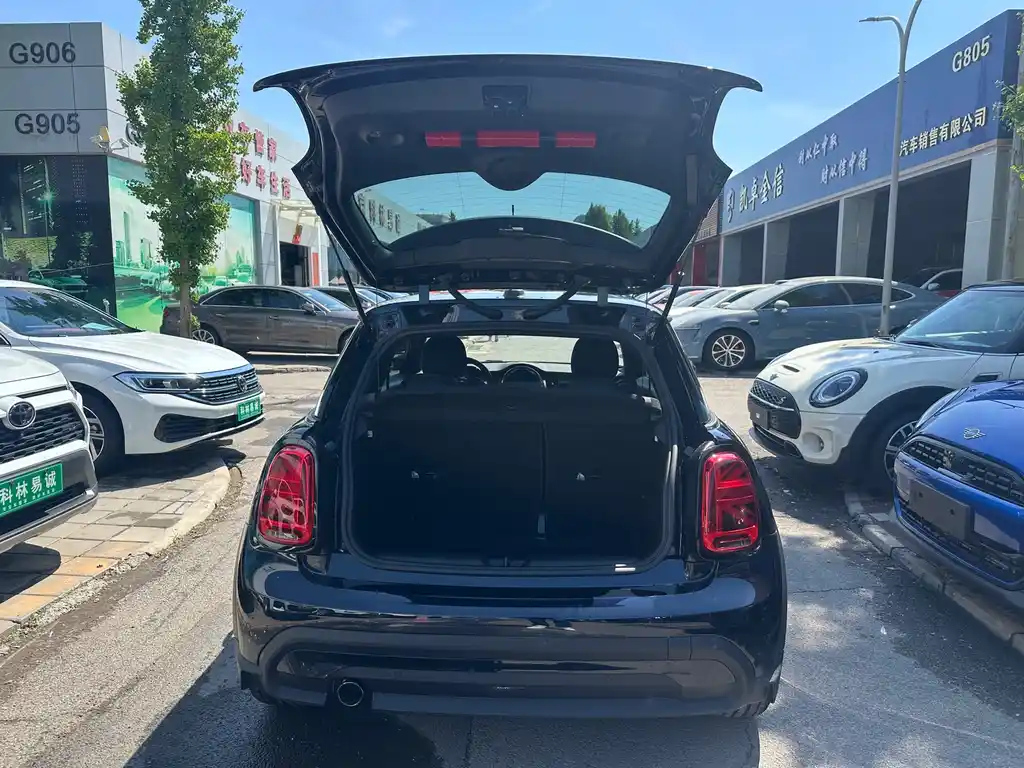 MINI OTHER 2023