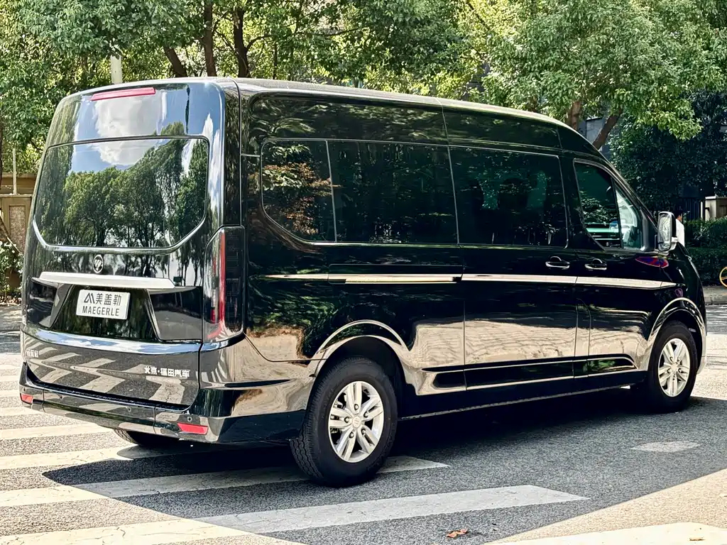FOTON OTHER 2024