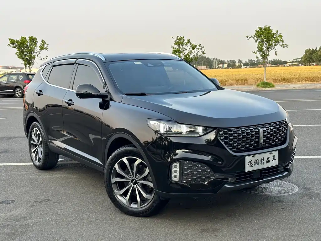WEY VV6 2020
