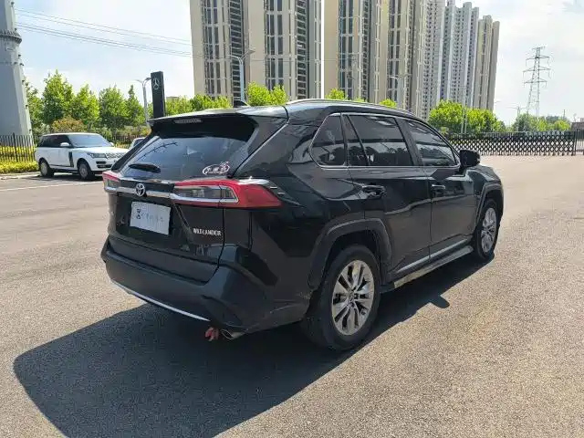 TOYOTA WILDLANDER 2020