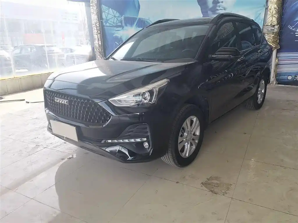 HAVAL M6 2019
