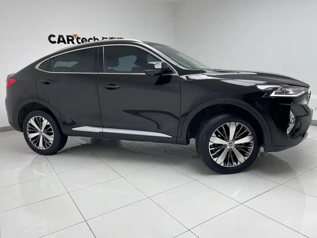HAVAL F7X 2019