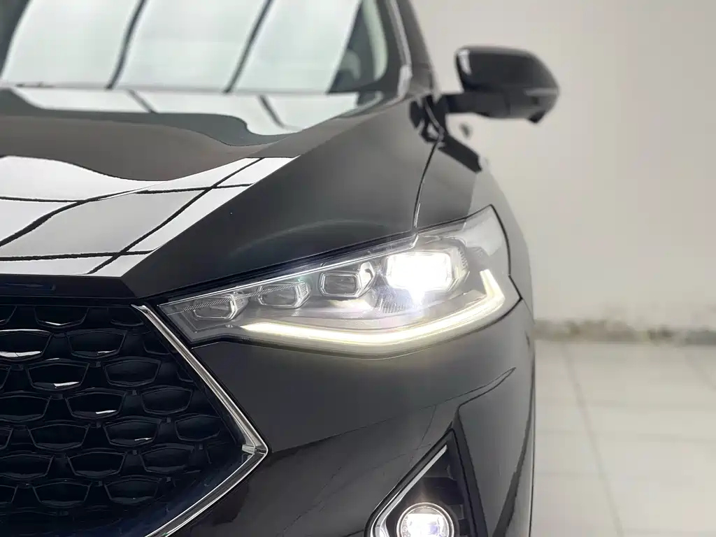 HAVAL F7X 2019