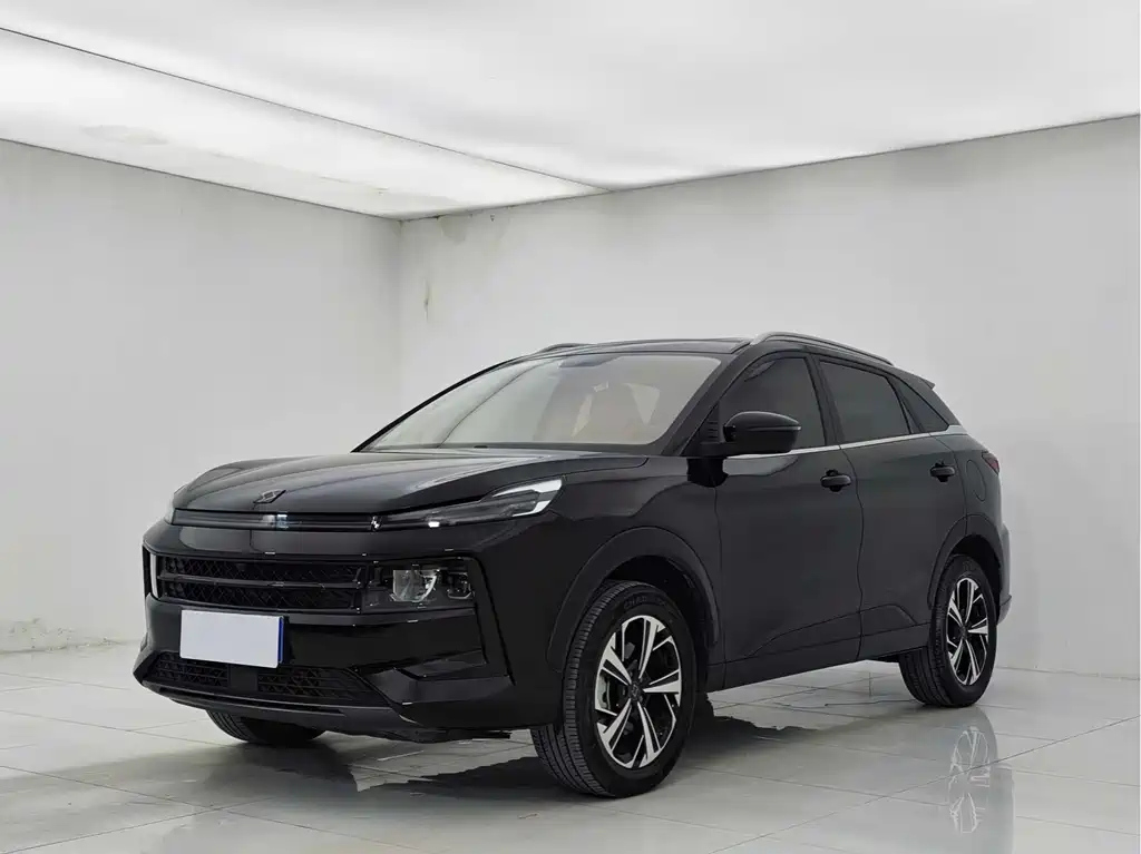 Аукционный лист SOL QX 2021