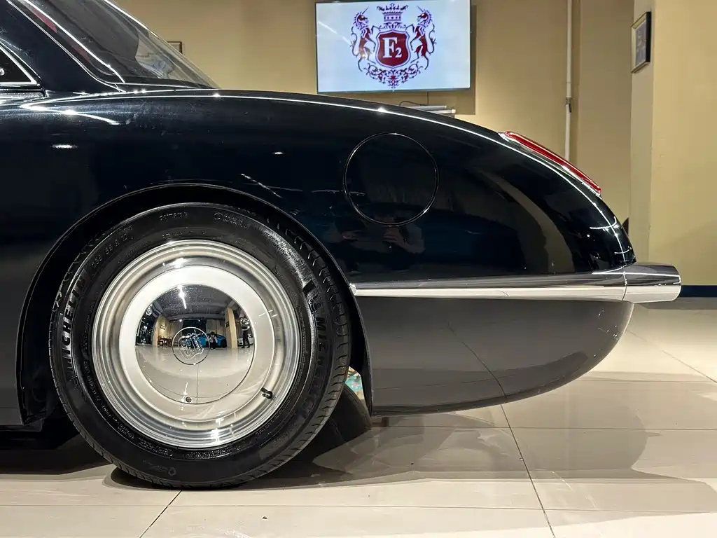 OTHER SS DOLPHIN 2021
