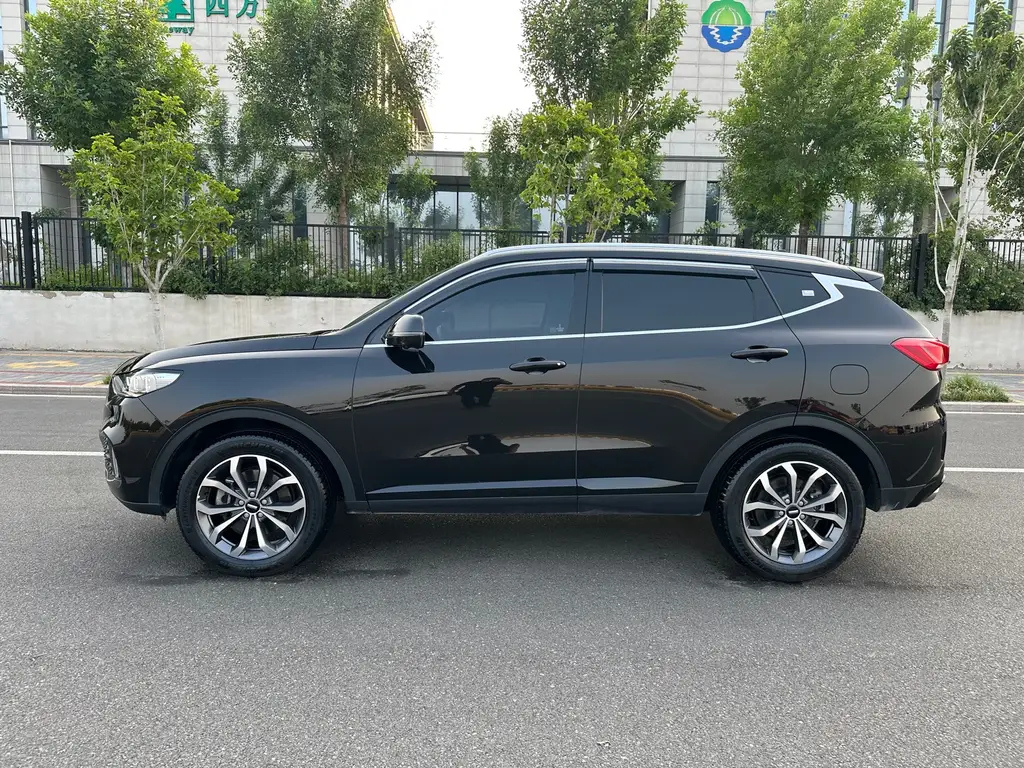 WEY VV6 2020