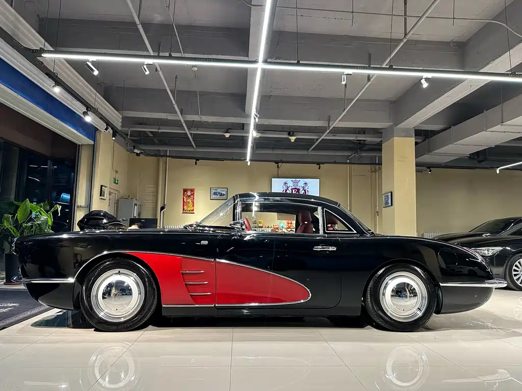 OTHER SS DOLPHIN 2021