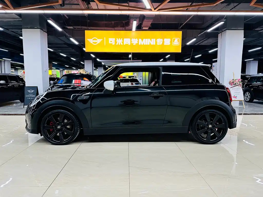 MINI OTHER 2023