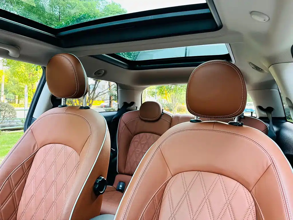 MINI OTHER 2020