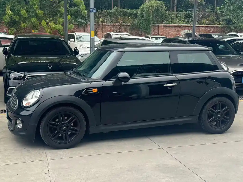 MINI OTHER 2013