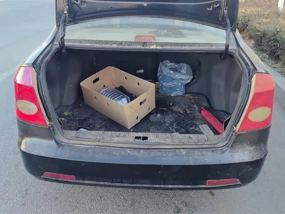 GEELY AUTO VISION 2013