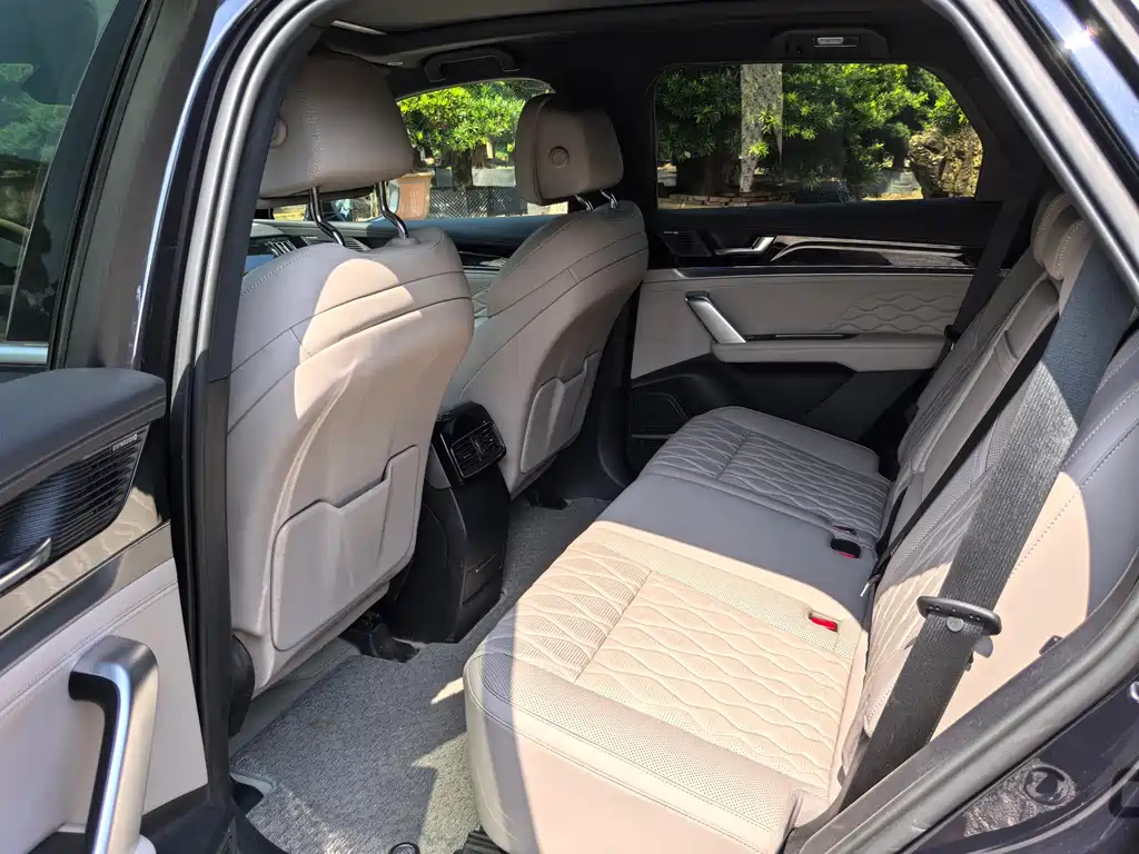 BYD TANG NEW ENERGY 2024