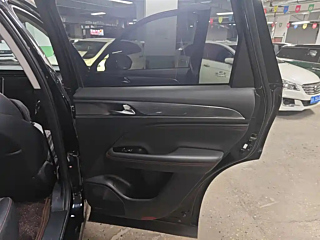 TRUMPCHI GS4 PLUS  2021 YEAR 390T AUTOMATIC  EDITION 2021