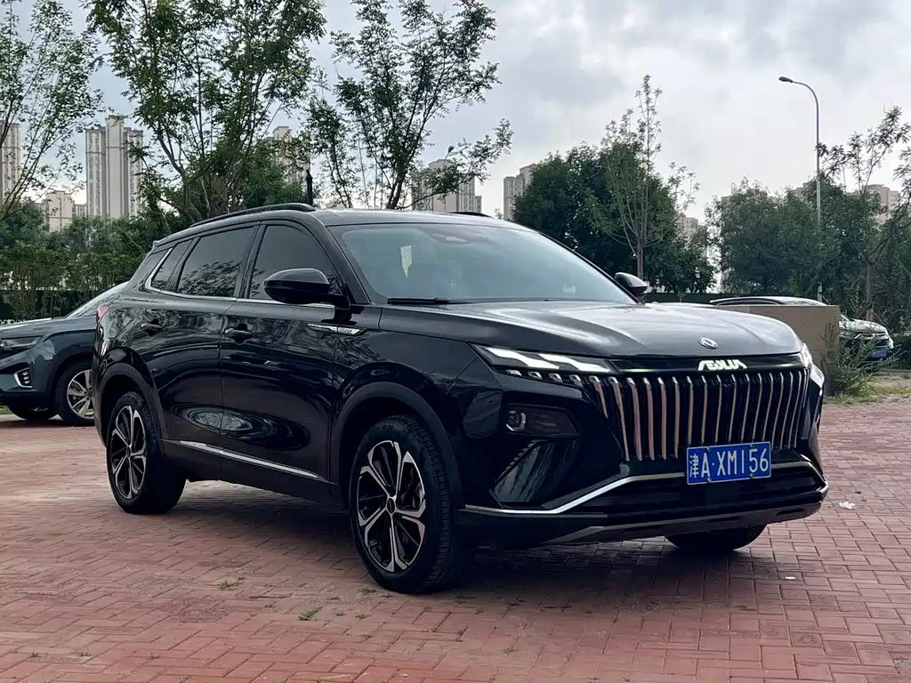 DONGFENG OTHER 2022