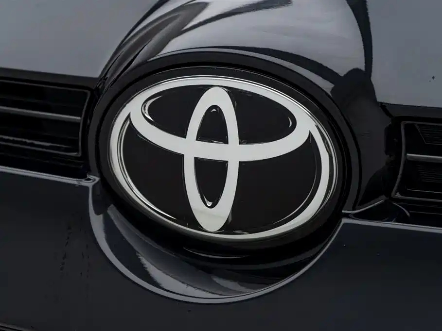 TOYOTA WILDLANDER 2021