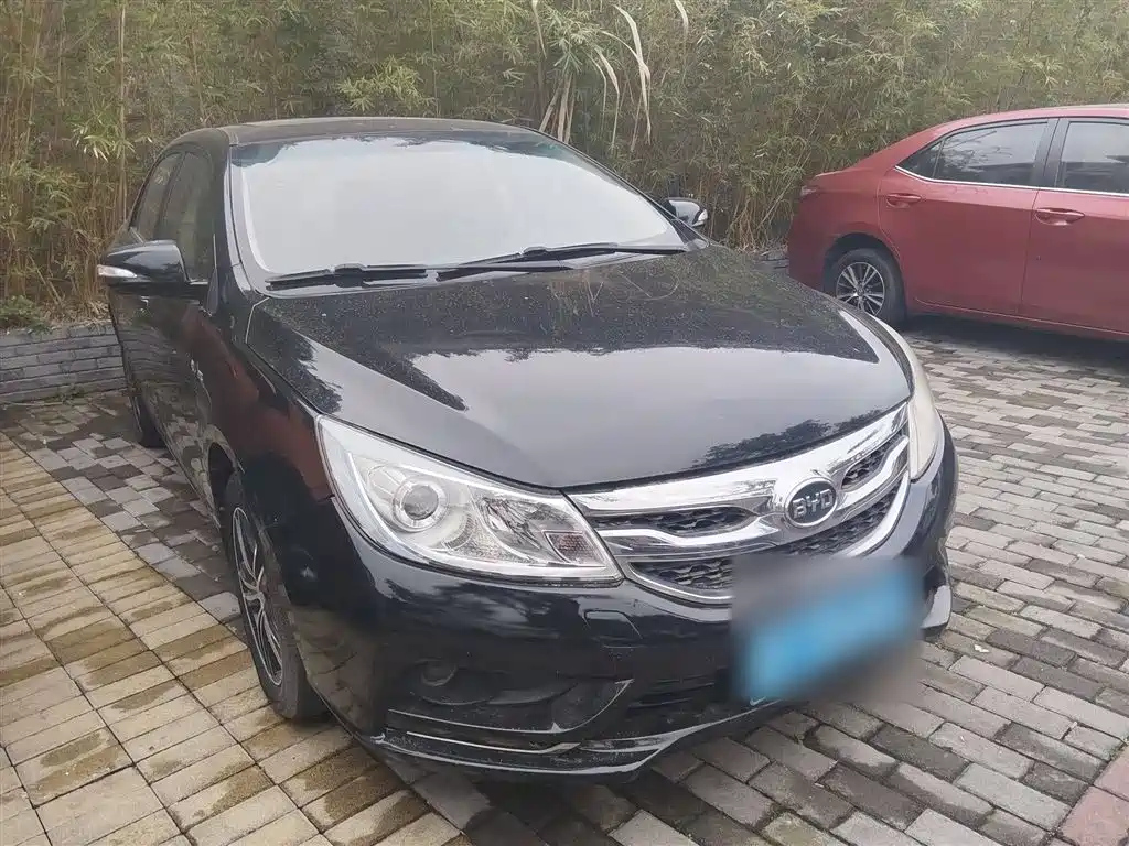 BYD OTHER 2015