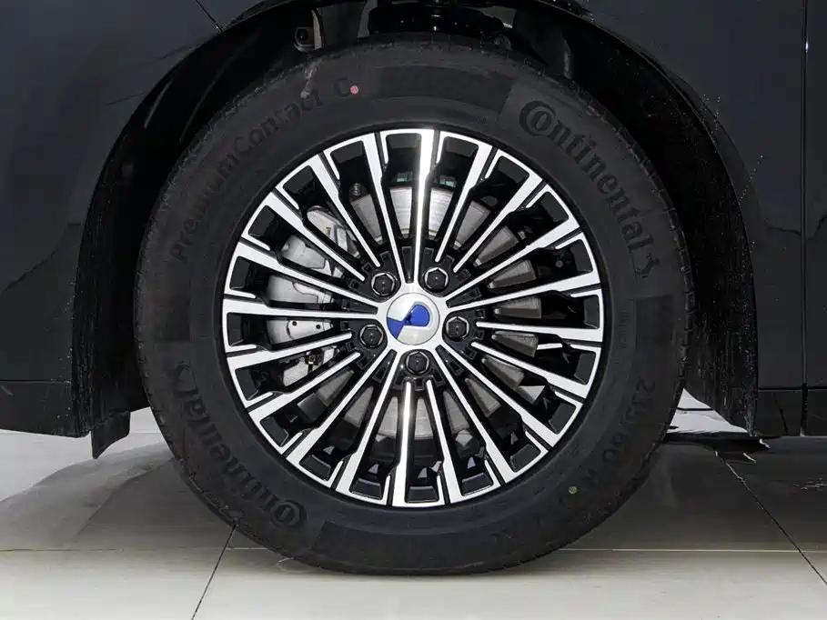 DENZA D9 2024