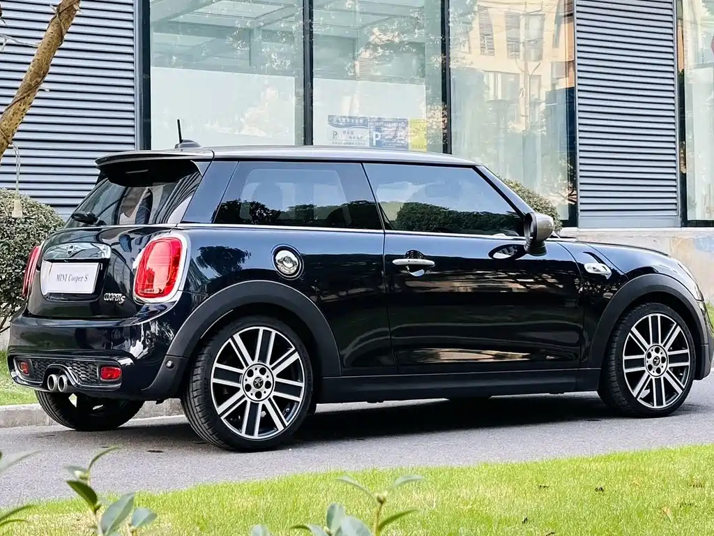 MINI OTHER 2020