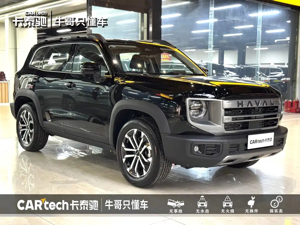 HAVAL BIG DOG 2024