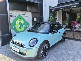 MINI OTHER  2025