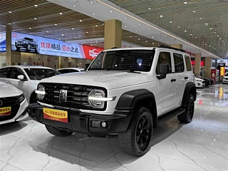 TANK 300 2021 YEAR EDITION 2.0T 2021