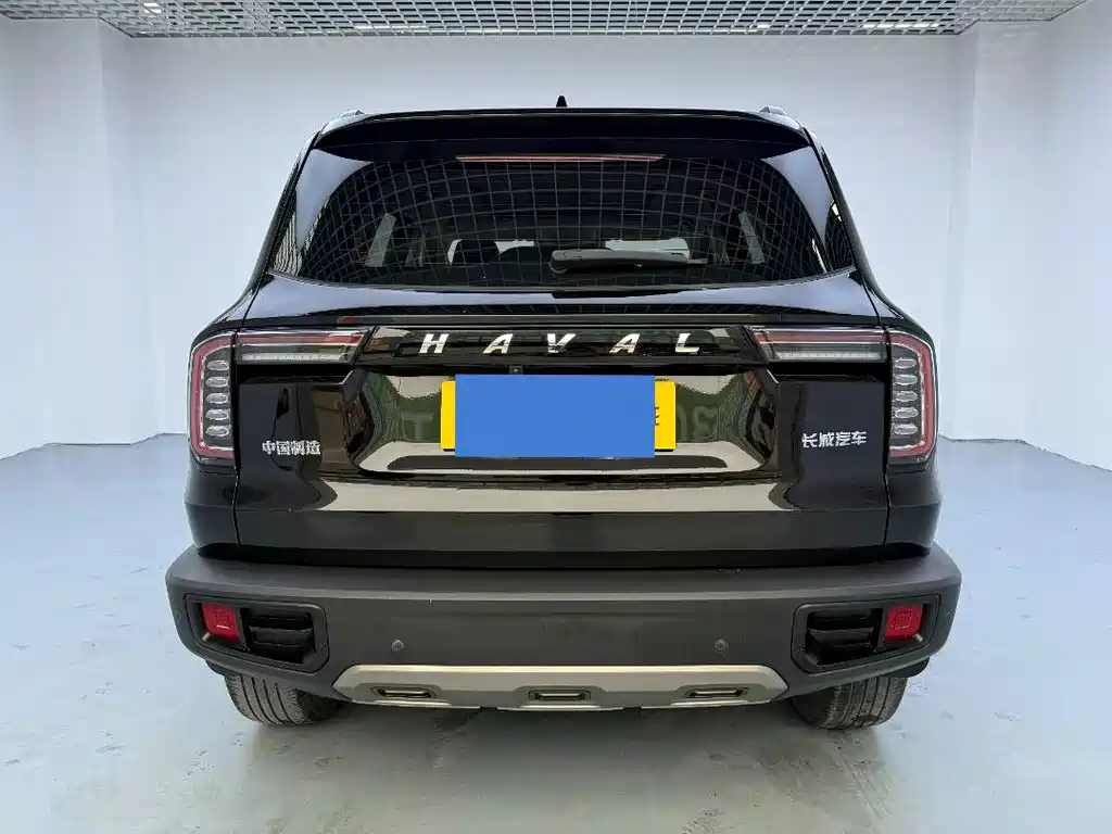 HAVAL BIG DOG 2021