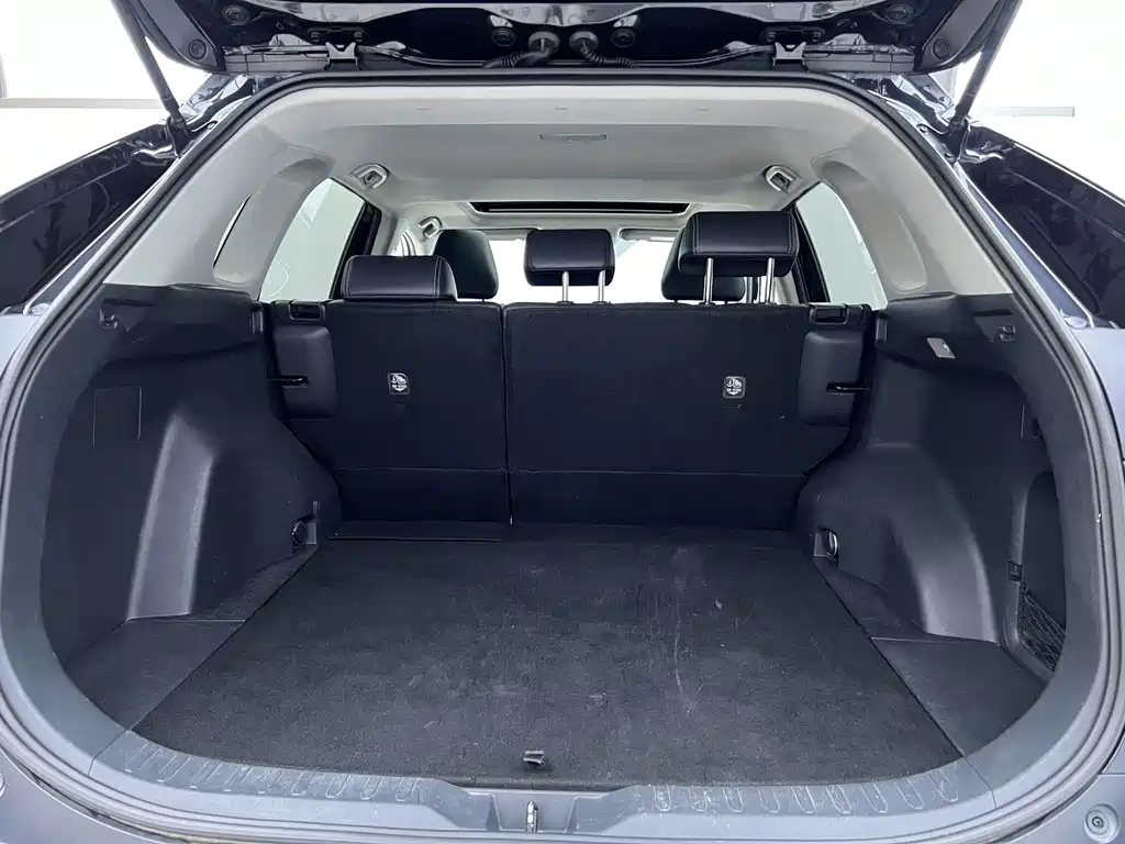 TOYOTA WILDLANDER 2022