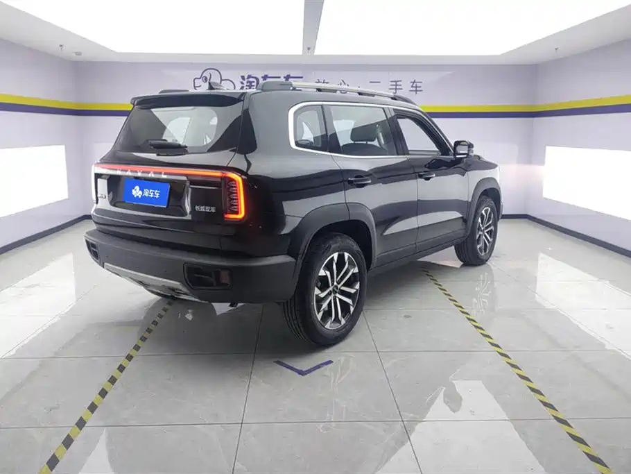 HAVAL BIG DOG 2024