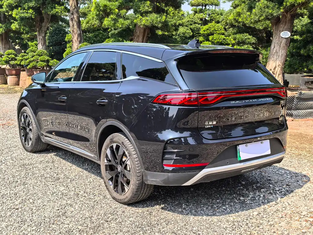 BYD TANG NEW ENERGY 2024