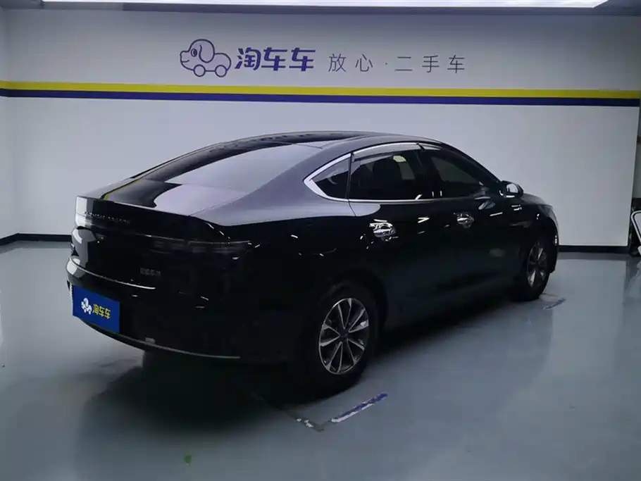 BYD DESTROYER 05 2024