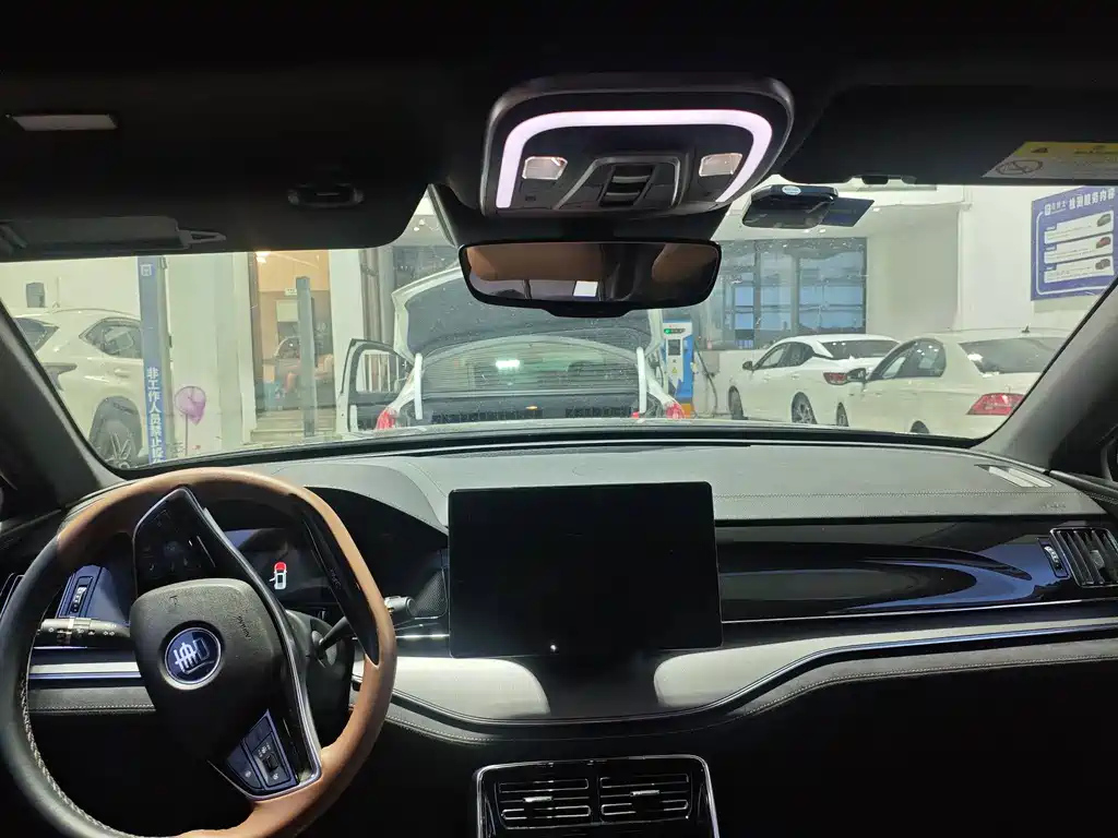 BYD TANG NEW ENERGY 2021