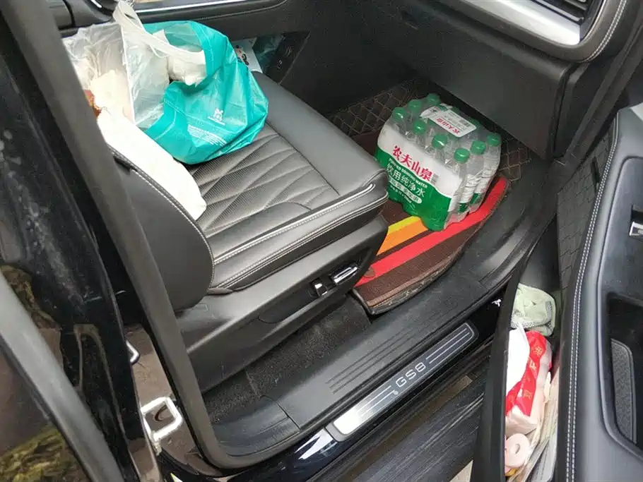TRUMPCHI GS8 2022