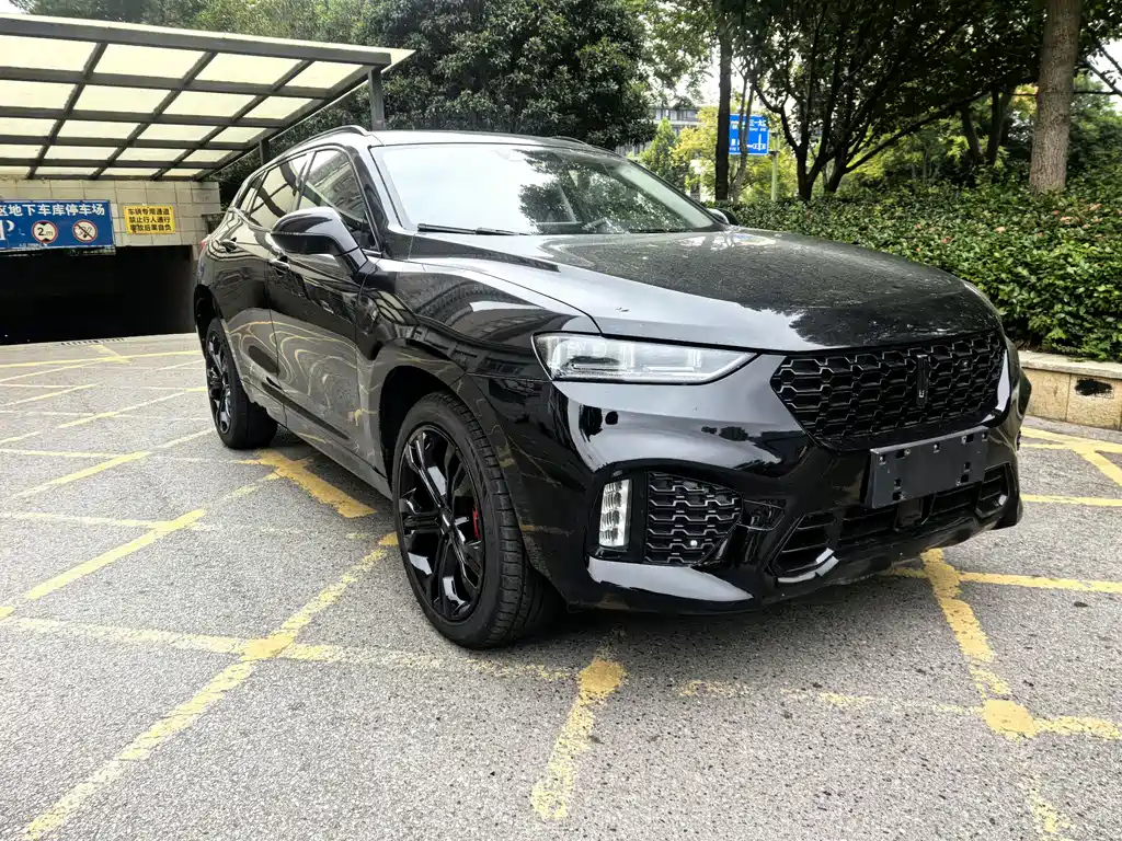 WEY VV7 2017