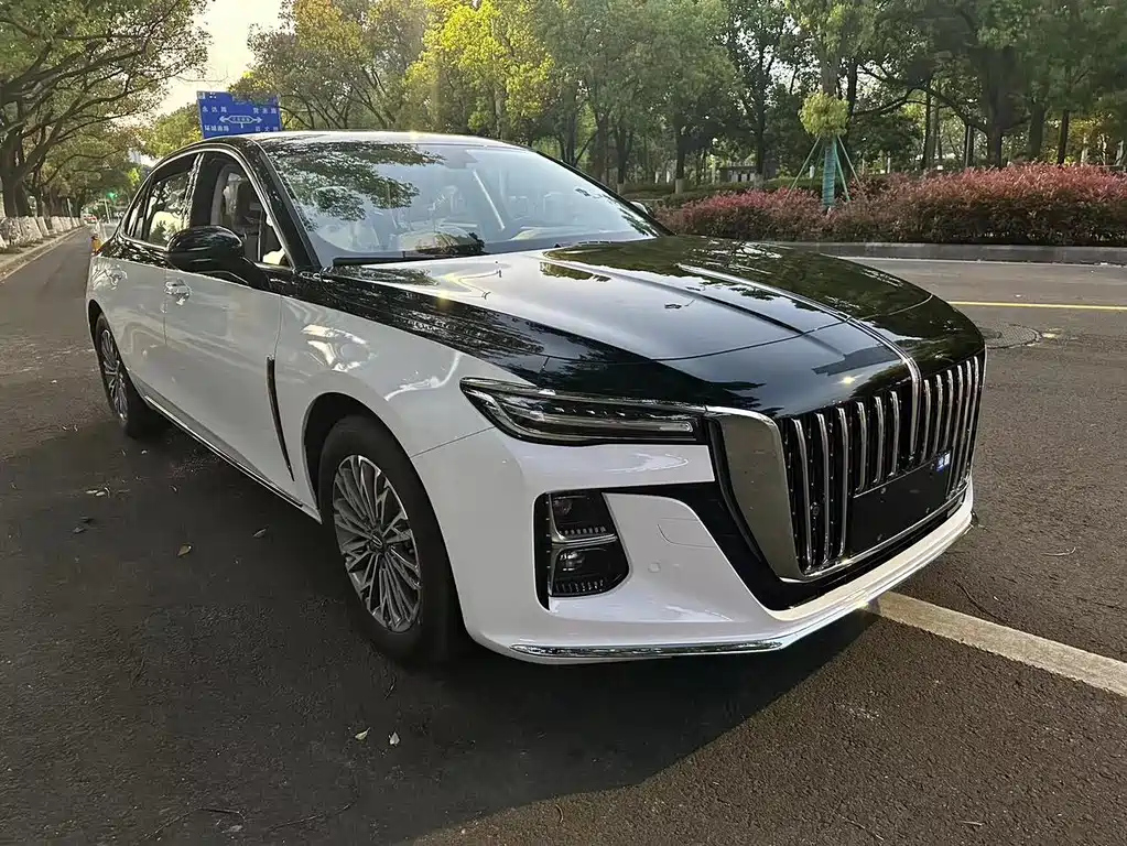 HONGQI H5 2024