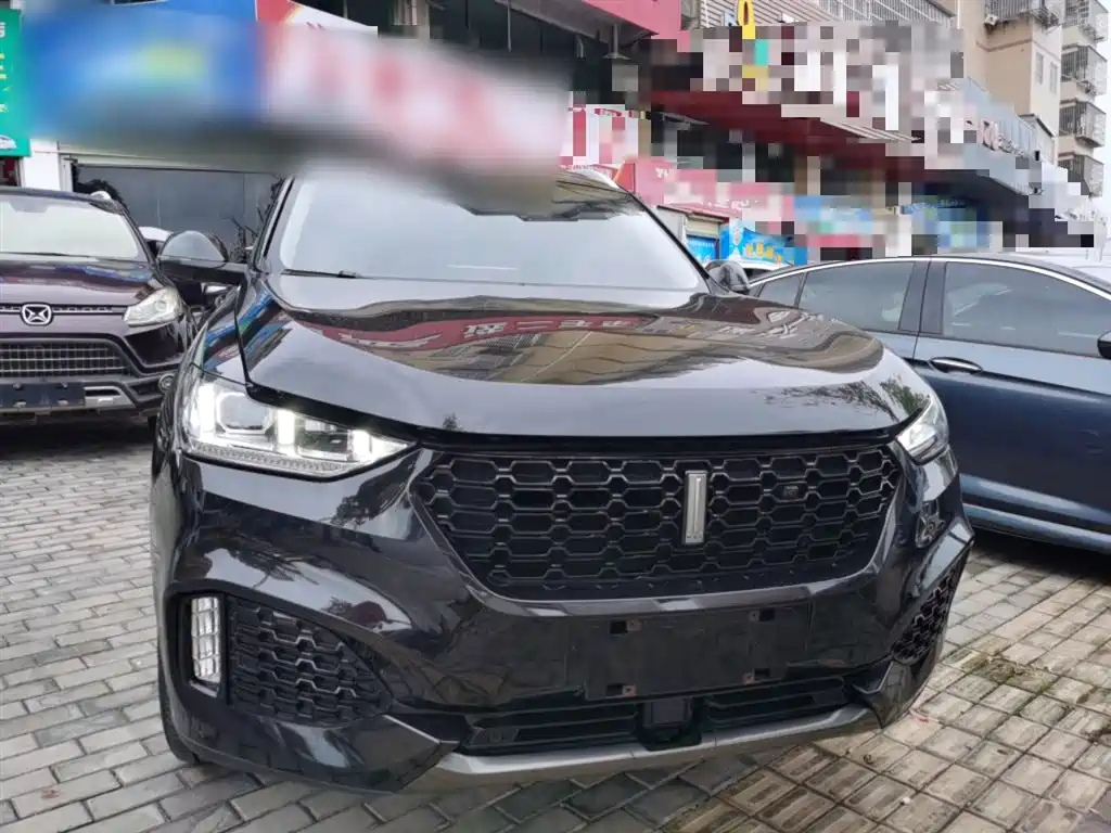 WEY VV6 2019