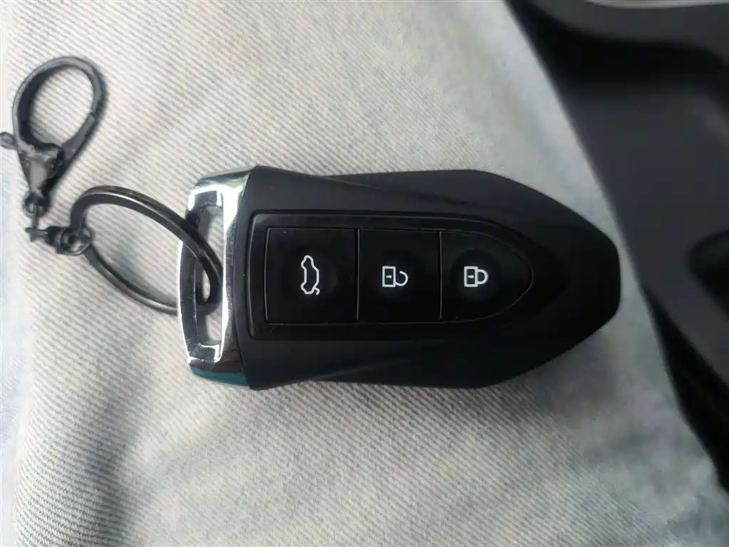 LEOPAARD CS10 2017