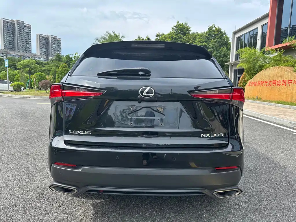 LEXUS NX 2018