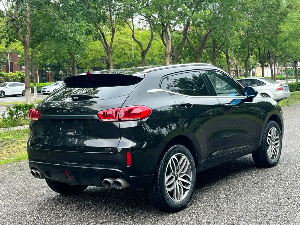 WEY VV5 2019