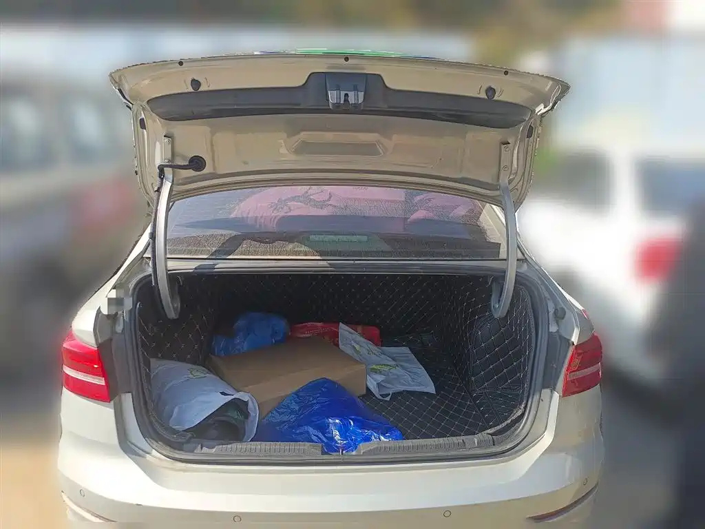 VOLKSWAGEN LAVIDA 2019