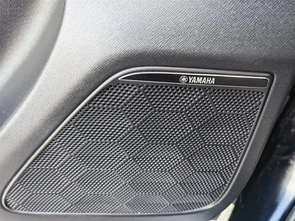 TRUMPCHI E9 2024