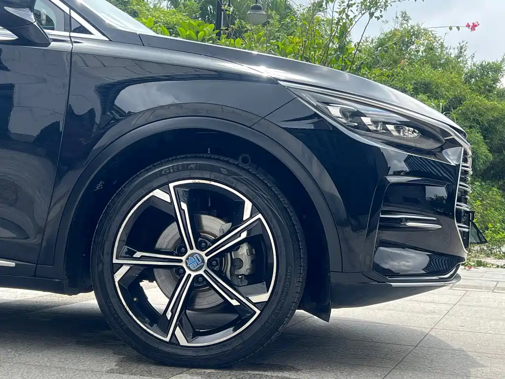 BYD TANG NEW ENERGY 2021
